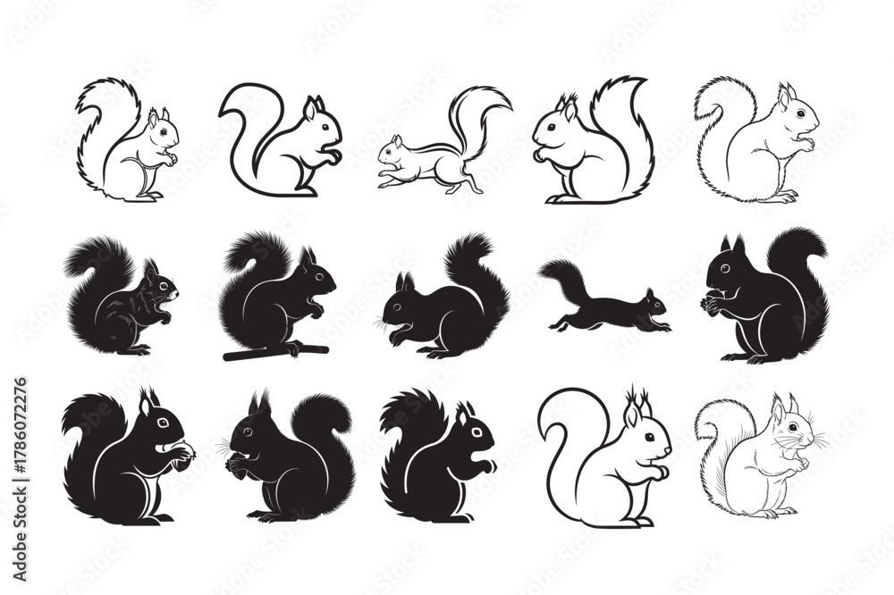 Obraz premium 15 PCS Collection Squirrel Line Art & Silhouette Vector. 