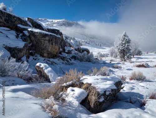 Winter Meadow Scene Snow Covered Bushes Rocks Bright Blue Sky Sunny Day Cold Nature Outdoors