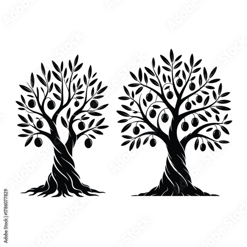 Two stylized black silhouette olive trees with fruit on white background