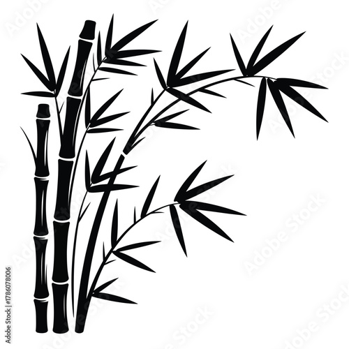 Black silhouette of bamboo stalks and leaves on a white background