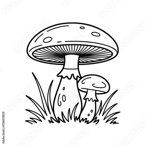 Simple line drawing of two mushrooms growing in grass