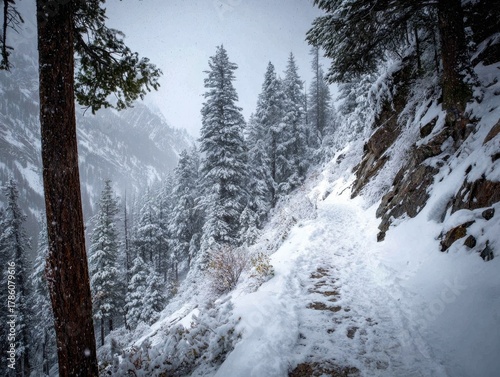 Snow-Covered Mountain Trail Winter Wonderland Tall Pine Trees Rocky Terrain Majestic Peaks Scenic Landscape Outdoor Adventure Cold Climate