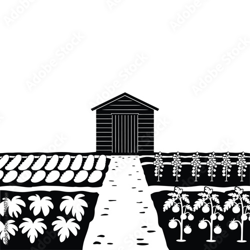 Rustic wooden shed in a garden with rows of plants