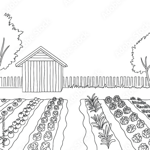 Hand drawn sketch of a garden shed and vegetable garden