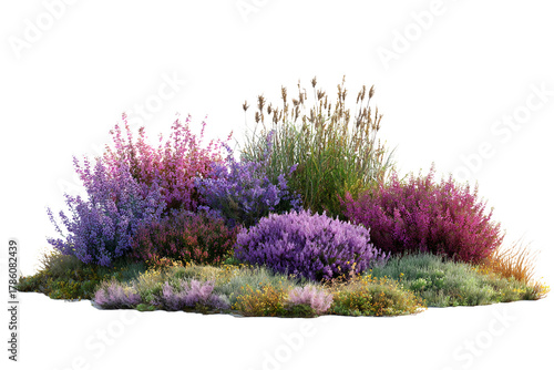 Colorful Blossoming Flowers and Green Bushes on Transparent Background, PNG
