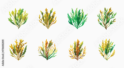 Diverse Watercolor Seaweed Illustrations on White Background Set of Eight Compositions