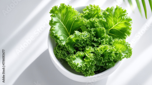 Fresh green kale in white pot showcases vibrant health and nutrition. This leafy vegetable is perfect for enhancing meals and promoting healthy lifestyle through nutritious food choices
