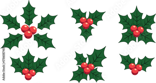 Christmas holly berry flat vector illustration icons set