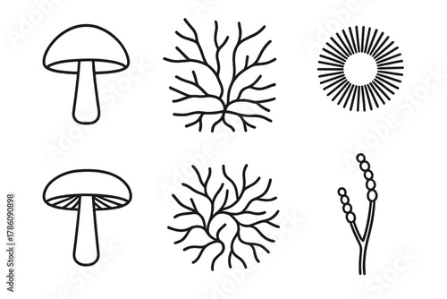 Fungal Structure Icons. Line style icons of common fungal structures: mushroom cap, hyphae network, spore print, gills under cap,