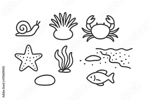 Tide Pool Icons. Line style icons of Micro Tide Pool: Tiny Snail, Anemone, Crab, Starfish, Pebble, Seaweed, Small Fish, Retreating