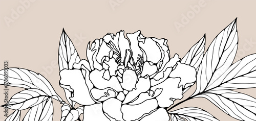 Peony flowers and leaves vector floral art. Beautiful floral design for decor, wallpaper, covers, and posters.
