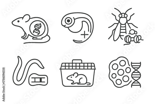 Epigenetic Model Icons. Line style icons of animal models in epigenetics: mouse epigenome diagram, zebrafish embryo with mark,