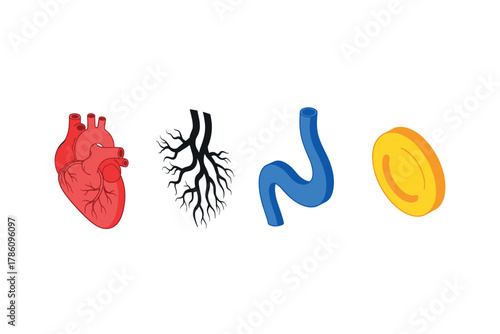 Human anatomy and biology educational icons for medical learning