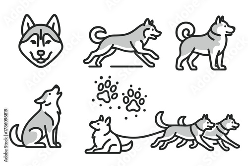 Sled Dog Icons. Line style icons of sled dogs: husky head, running husky, malamute, paw prints in snow, howling dog, two-dog team.