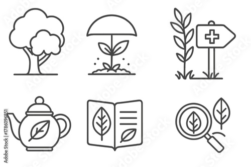 Forest Ethnobotany Icons. Line style icons of forest ethnobotany: tree canopy icon, shade herb diagram, forest edge plant,