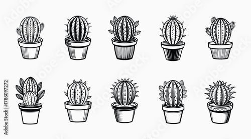 Collection of Black and White Cacti in Pots on Isolated White Background