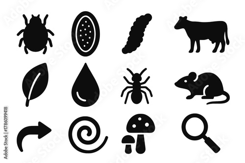 Parasite Lifecycle Icons. Solid style icons of parasite life cycles and ecology: parasite, egg, larva, adult host, leaf, water