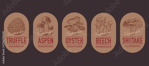 Set of label design templates, stamps, stickers with hand drawn mushroom illustrations, vector graphic elements