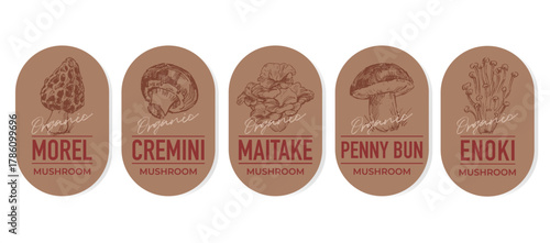 Set of label design templates, stamps, stickers with hand drawn mushroom illustrations, vector graphic elements