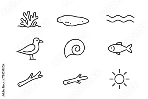 Coral Sandbar Icons. Line style icons of Coral Sandbar: Coral Patch, Exposed Land, Tide, Seabird, Shell, Small Fish, Driftwood,