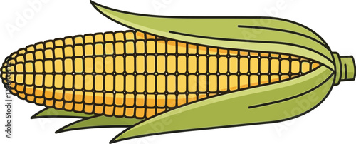 Corn cob with green husk, a fall harvest food