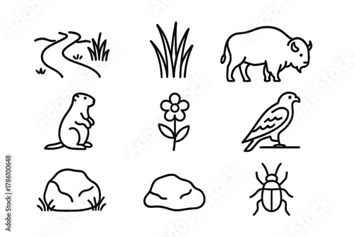 Hidden Grassland Icons. Line style icons of Hidden Grassland: Secret Path, Tall Grass, Bison, Prairie Dog, Wildflower, Hawk, Rock,