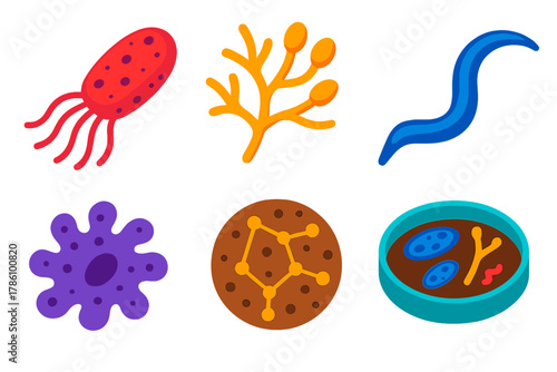 Vibrant Soil Microbiology Icons. Isometric vector illustration set Soil Microbiology: bacteria cell icon, fungi hyphae, nematode,