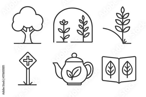 Forest Ethnobotany Icons. Line style icons of forest ethnobotany: tree canopy icon, shade herb diagram, forest edge plant,