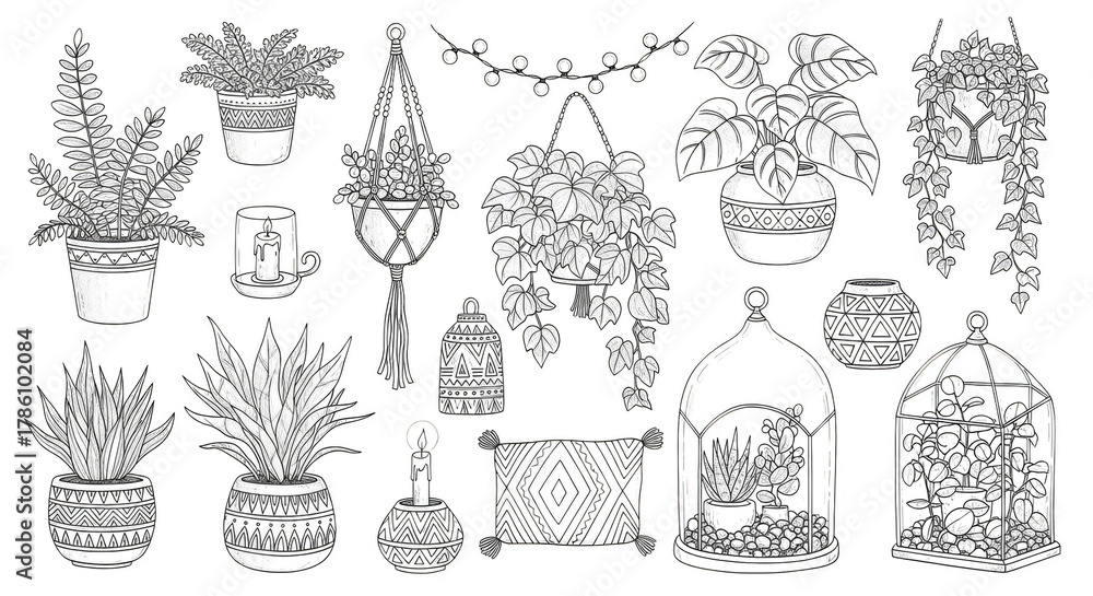 Obraz premium Whimsical botanical haven Plants macrame terrariums