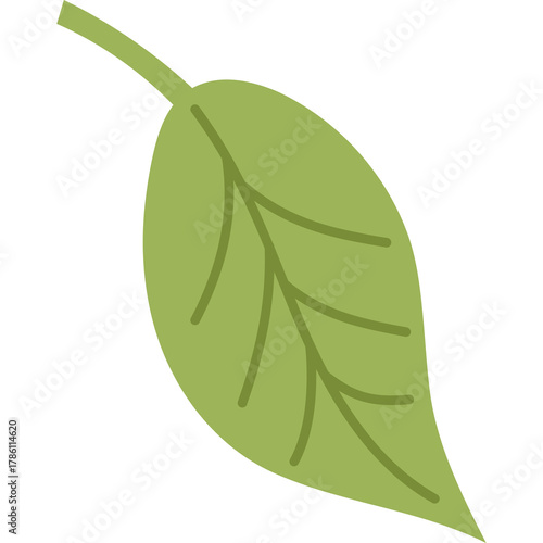 A single light green leaf with dark green veins and a stem on a transparent background representing nature and growth