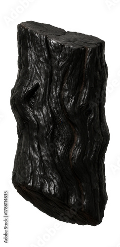 Charred juniper trunk piece featuring a sleek, glossy finish.