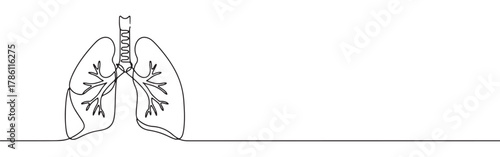 Continuous one line drawing of human lungs. Concept of respiratory system, health and anatomy