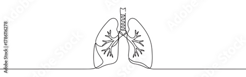 Continuous one line drawing of human lungs. Concept of respiratory system, health and anatomy