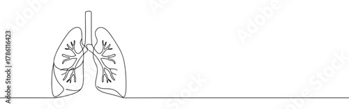 Continuous one line drawing of human lungs. Concept of respiratory system, health and anatomy