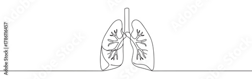 Continuous one line drawing of human lungs. Concept of respiratory system, health and anatomy