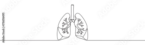 Continuous one line drawing of human lungs. Concept of respiratory system, health and anatomy