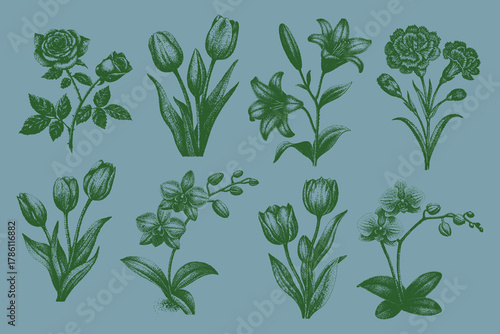 Halftone Collage flowers set elements. Rose, Carnation, Tulip, Lily, Orchid flower vector illustration. psychedelic tattoo art, halftone grainy texture, floral punk design, gothic. Eps 10