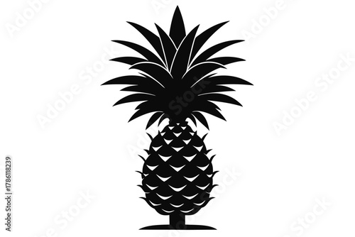 pineapple on white background