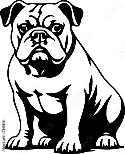 BULLDOG SVG, BULLDOG Clipart, Bulldog Svg Files For Cricut, Bulldog Silhouette Svg, Dog svg