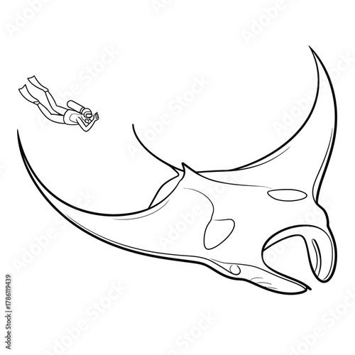 Line drawing of a diver swimming with a majestic manta ray