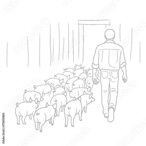 Farmer herding a group of pigs into a barn or enclosure