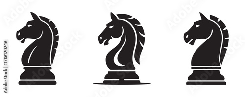 black and white chess pieces