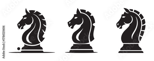 Photography black and white horse