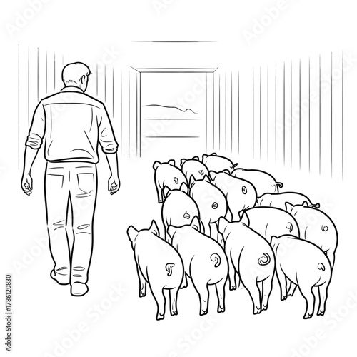 Farmer leads a group of pigs into a barn