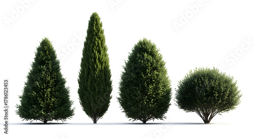 Collection of diverse green trees and bushes on white background
