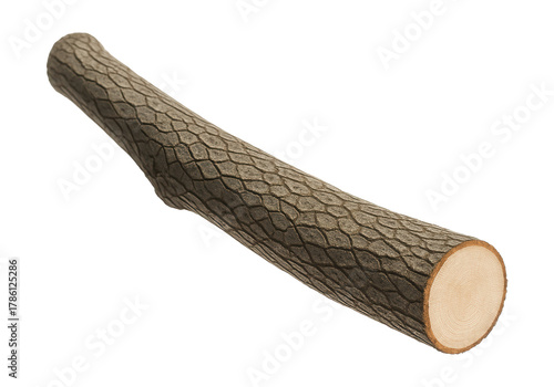 Ash tree branch featuring a clean cut end and grayish-brown diamond-patterned bark.