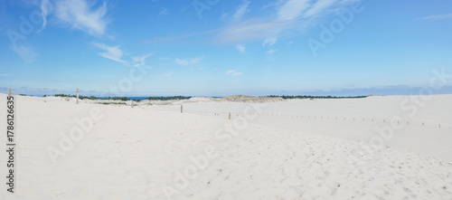 Fototapeta Naklejka Na Ścianę i Meble -  Shifting sand dunes in Łeba. Beautiful desert landscape. The Baltic Sea on the horizon. Coastal landscape. Poland. Slowinski National Park. Panorama