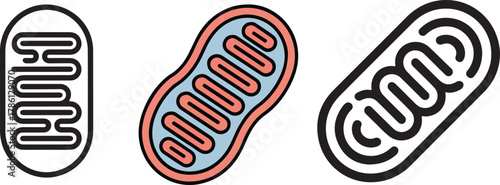 Mitochondria Cell Organelle Icons flat illustration