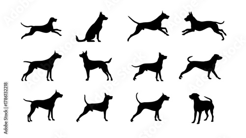 シルエットの犬