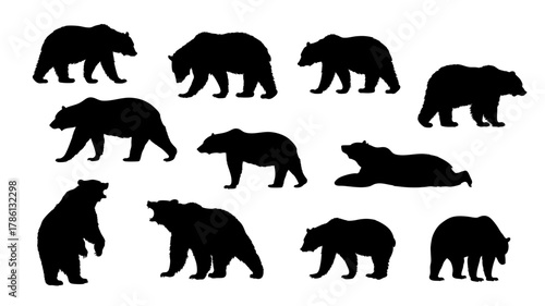 シルエットの熊